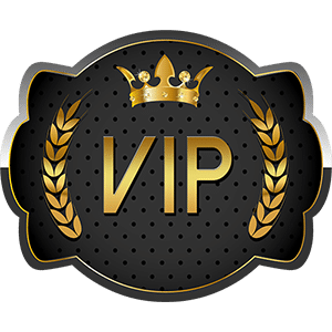 vip program